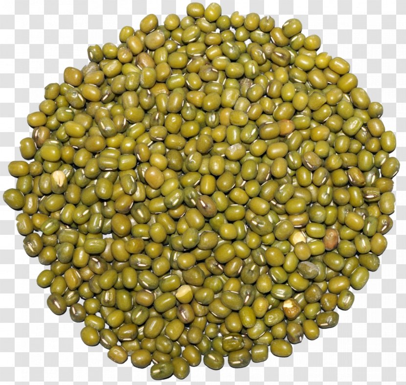 Legume Vegetarian Cuisine Mung Bean Lentil - Vegetable Transparent PNG