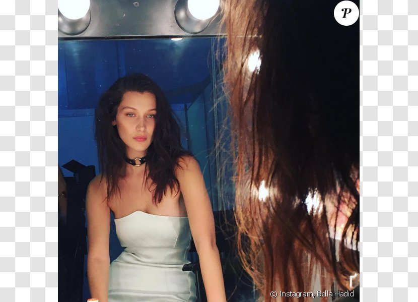 Bella Hadid Model Celebrity Instagram Fashion - Flower Transparent PNG