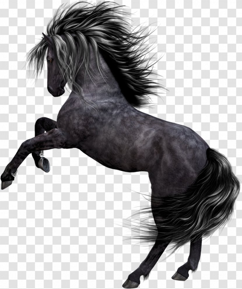 Akhal-Teke Mustang Arabian Horse Stallion Pony Transparent PNG