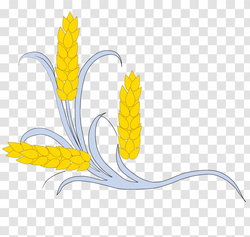 Crop Drawing Illustration - Gratis - Hand Drawn Vector Wheat Transparent PNG