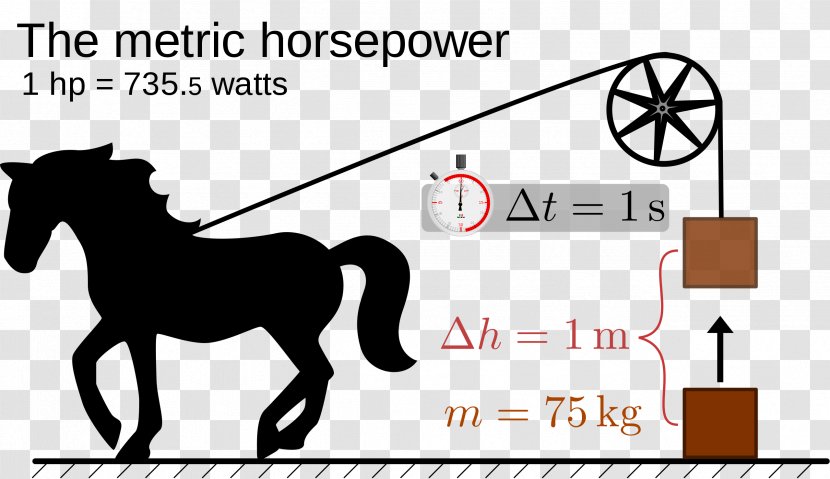 Metric Horsepower Draft Horse Pulling - Like Mammal Transparent PNG