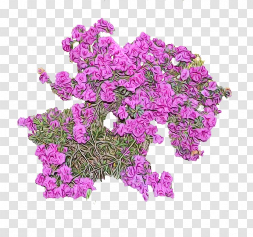 Flower Plant Violet Pink Cut Flowers - Wet Ink - Magenta Petal Transparent PNG