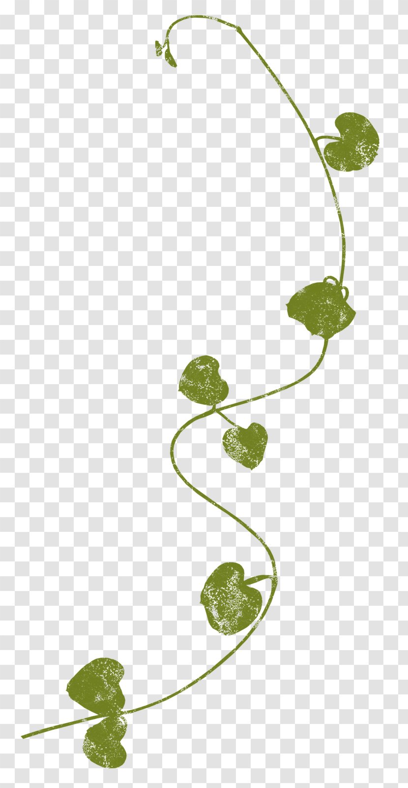 Leaf Plant Stem Clip Art - Vine - (3) Transparent PNG