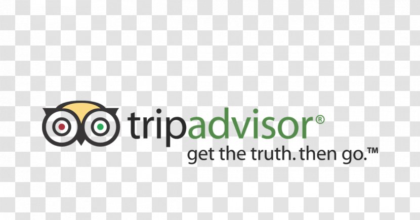 TripAdvisor Travel Fes Package Tour Hotel - Yellow Transparent PNG