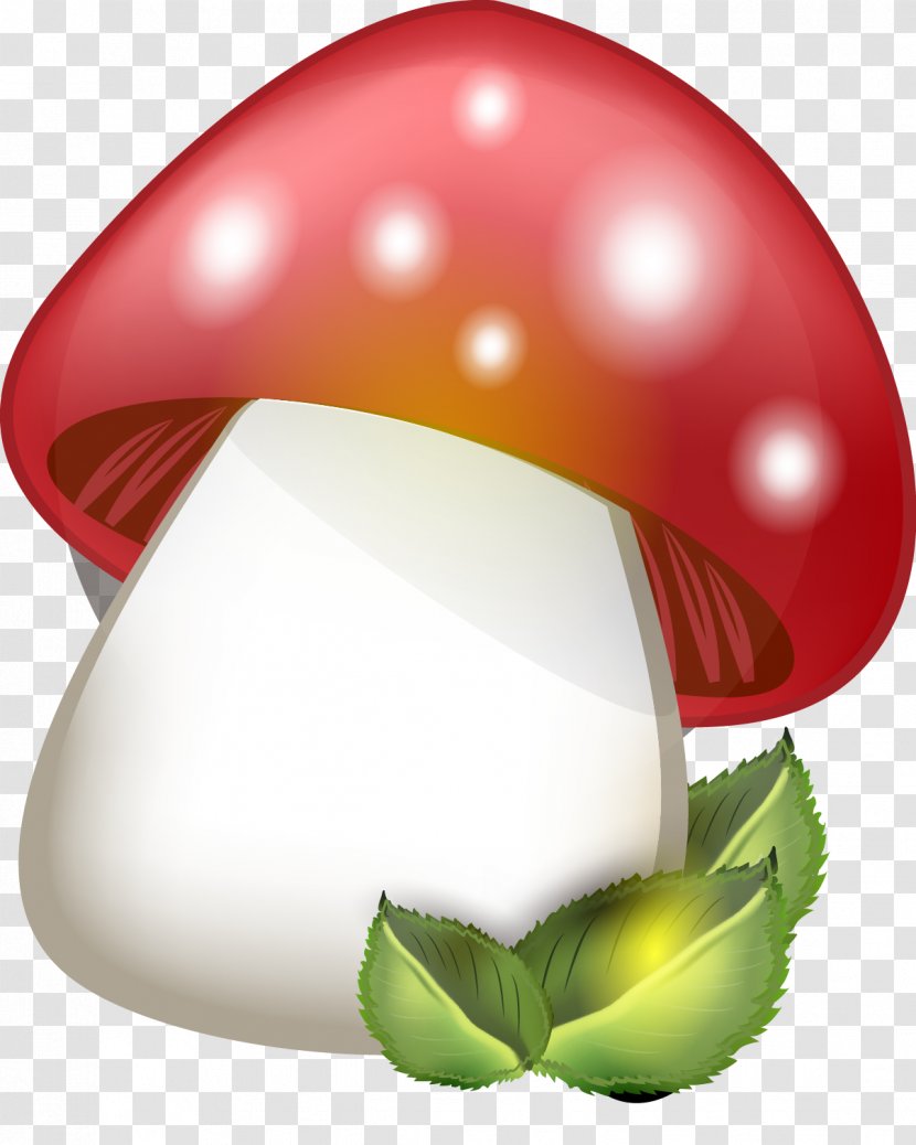 Euclidean Vector Mushroom - Space - Mushrooms Transparent PNG