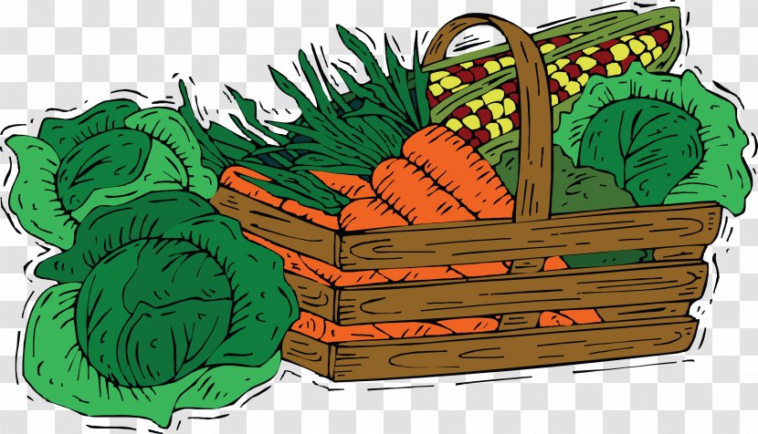 Carrot Cabbage Vegetable Drawing - Grass - Cartoon Material Transparent PNG