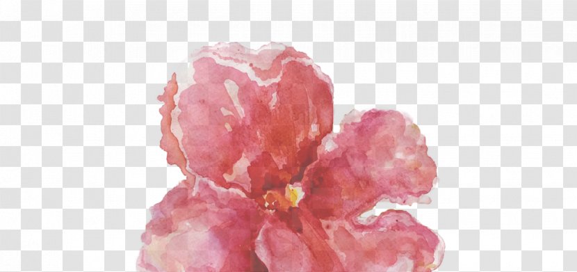 Petal Pink M Cut Flowers RTV - Kipo Transparent PNG
