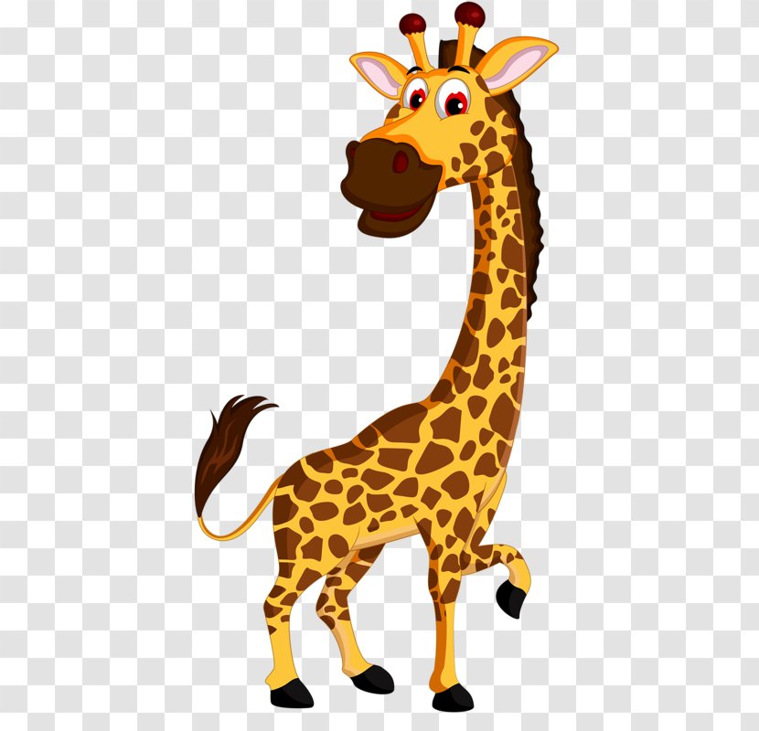 Cartoon Zoo Illustration - Fauna - Lively Giraffe Transparent PNG