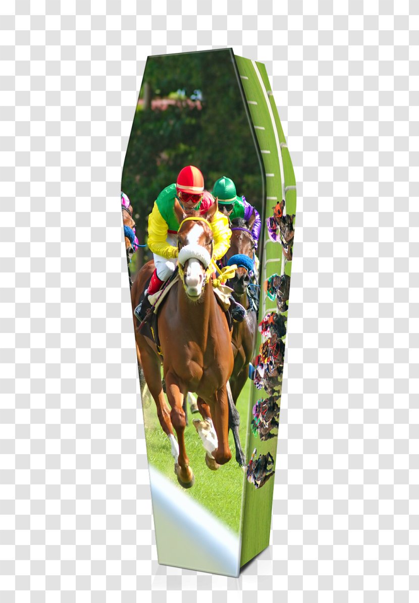 De Prijs Van Cross Horse Racing Book Contribuição Para O Financiamento Da Seguridade Social - International Standard Number Transparent PNG