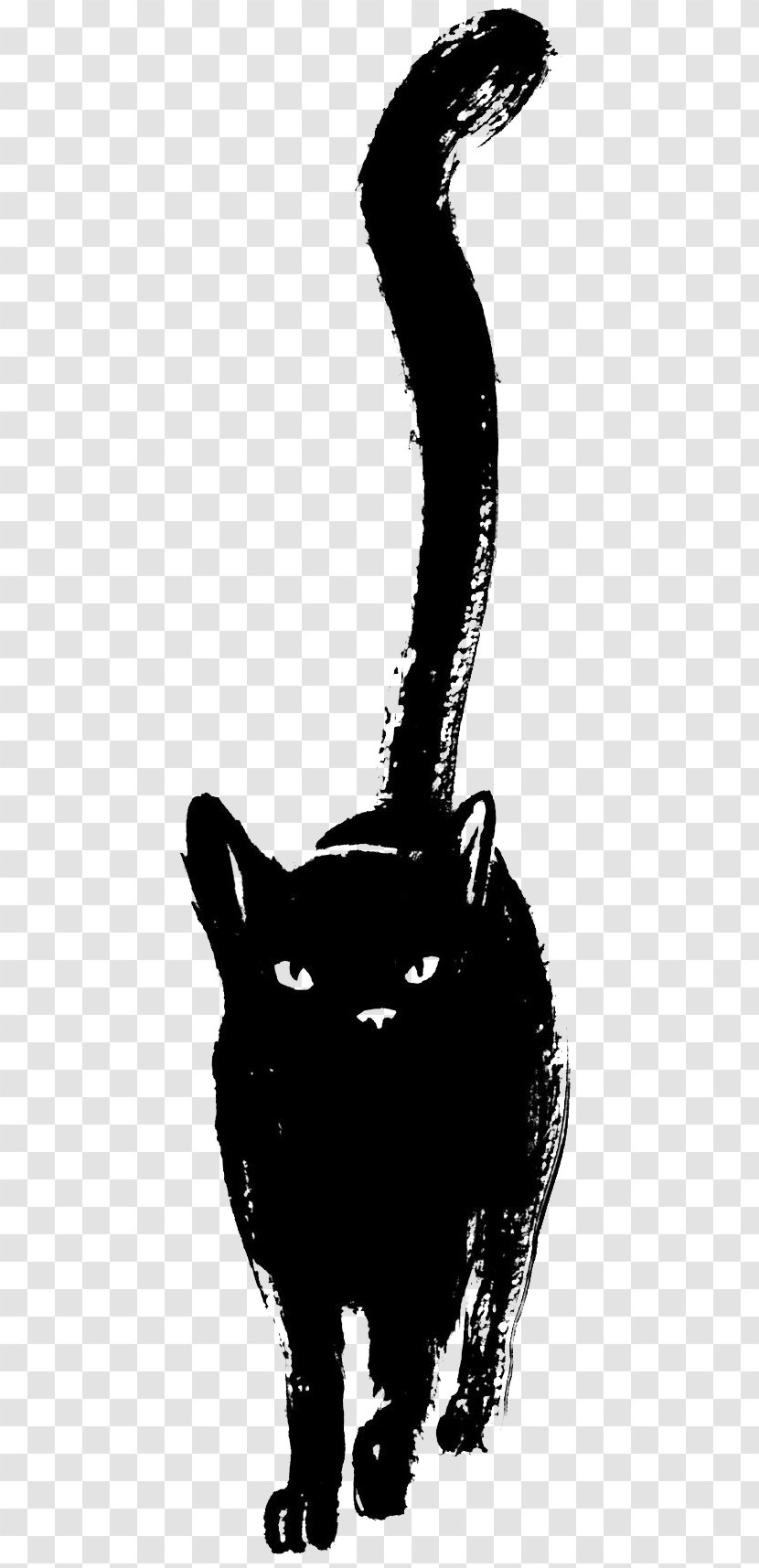 Black Cat Panther Drawing Sketch Transparent PNG