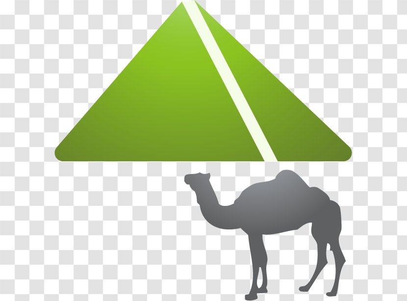 Camel Cartoon Icon - Grass Transparent PNG