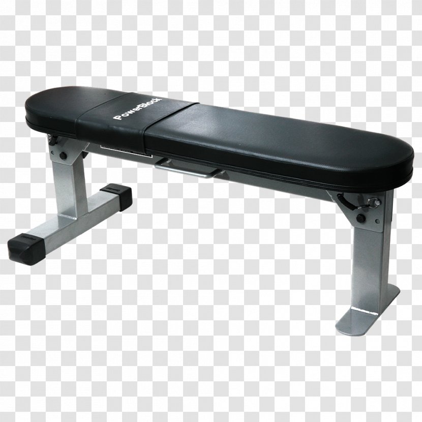 Bench Exercise Equipment Personal Trainer Dumbbell - Weight - Thailand Travel Flat Material Transparent PNG