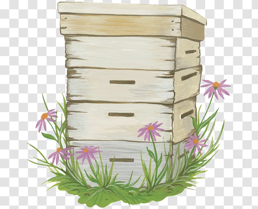 Flowerpot - Bee Hive Transparent PNG