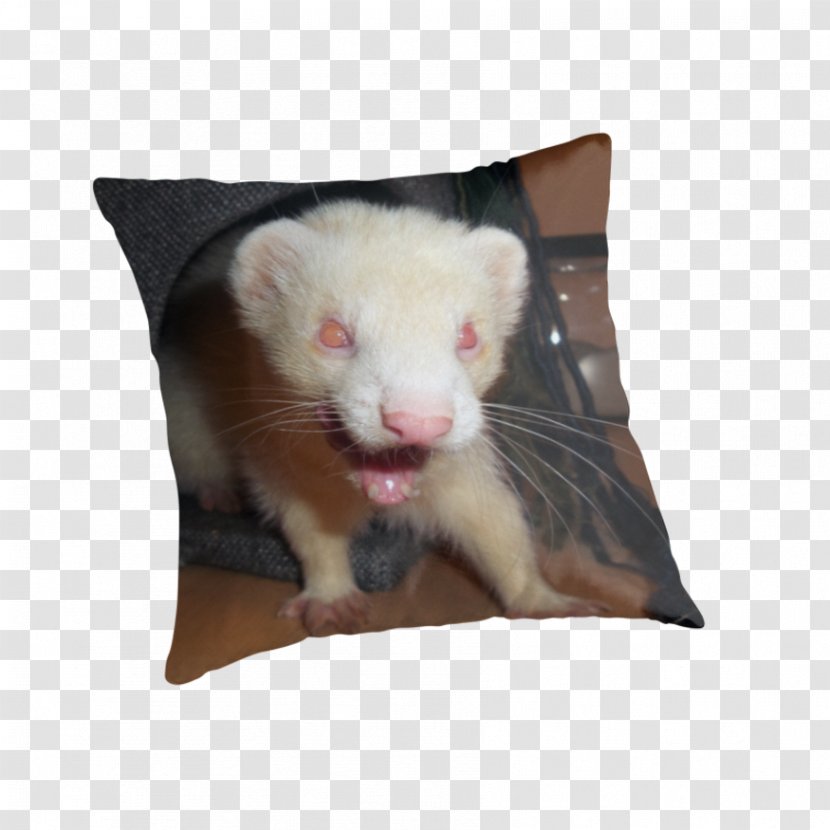 Ferret Rat Cushion Throw Pillows - Snout Transparent PNG