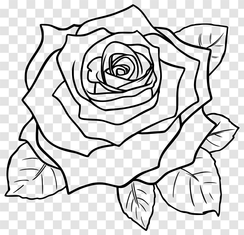 Drawing Rose Line Art Pencil Sketch - Flower - Clip Transparent PNG