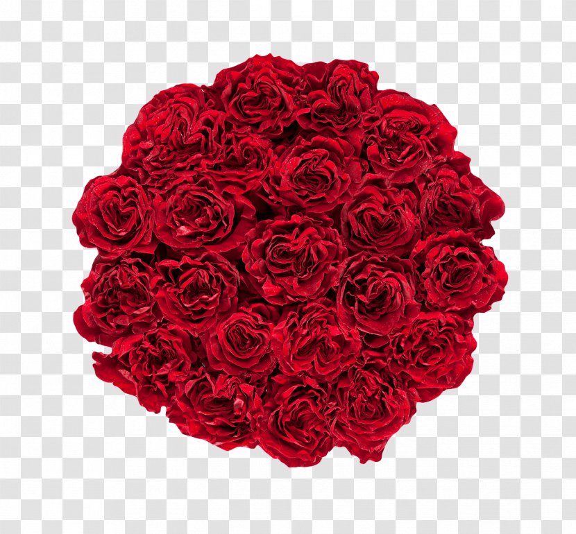 Garden Roses Cut Flowers Flower Bouquet - Bride - Rose Transparent PNG