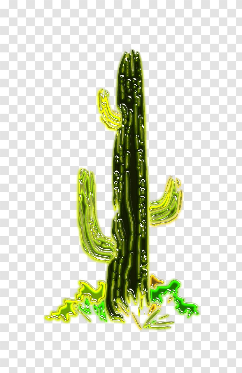 Cactaceae Desert California Barrel Cactus Landscape Plant - Organism Transparent PNG