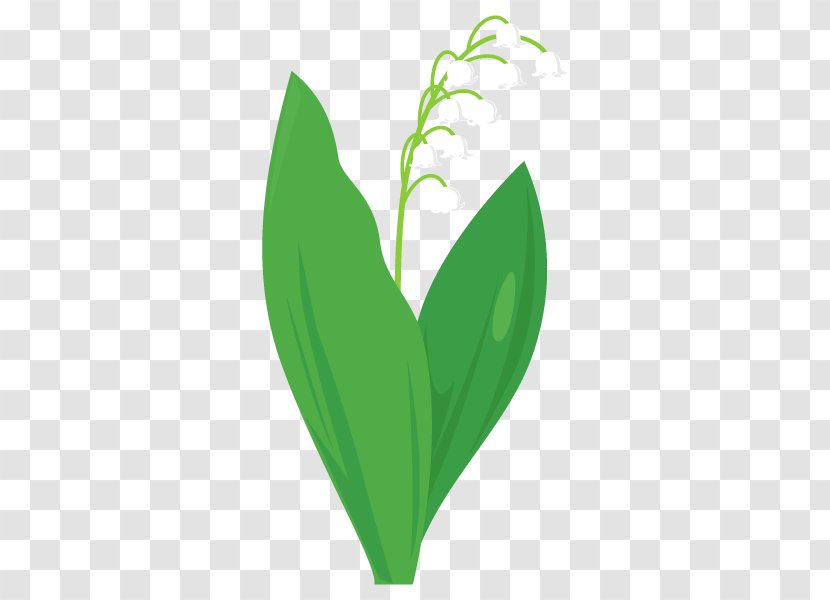 Lily Of The Valley Illustration Plant Stem Flower Text - Heart - Computer Font Transparent PNG