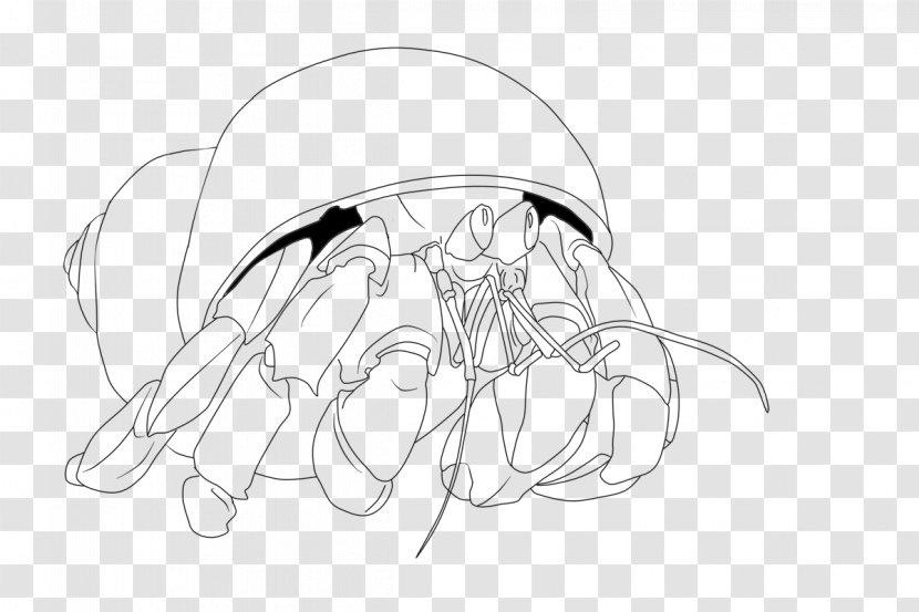 A House For Hermit Crab Coloring Book Transparent PNG