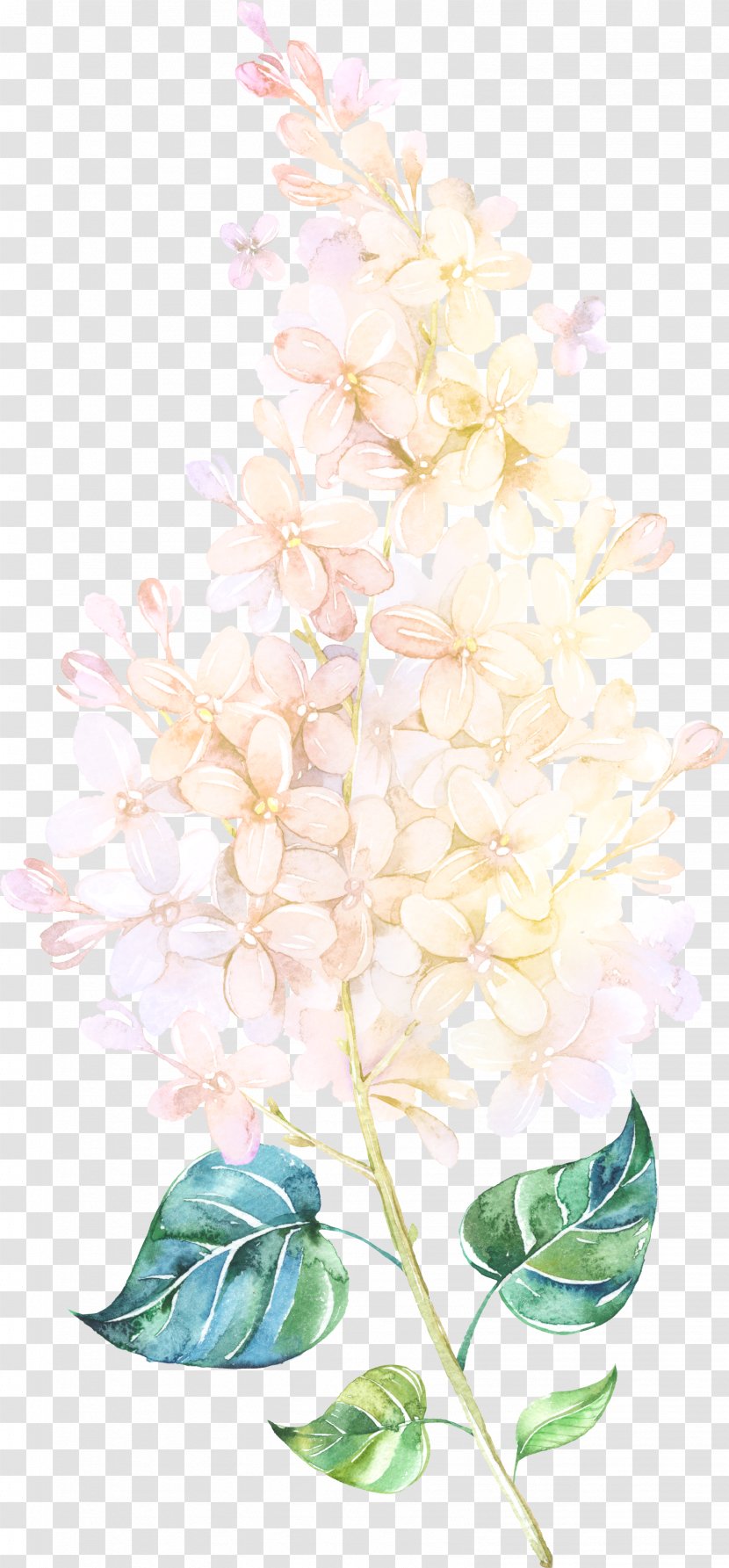 Flower Watercolor Painting Floral Design - Floating Transparent PNG