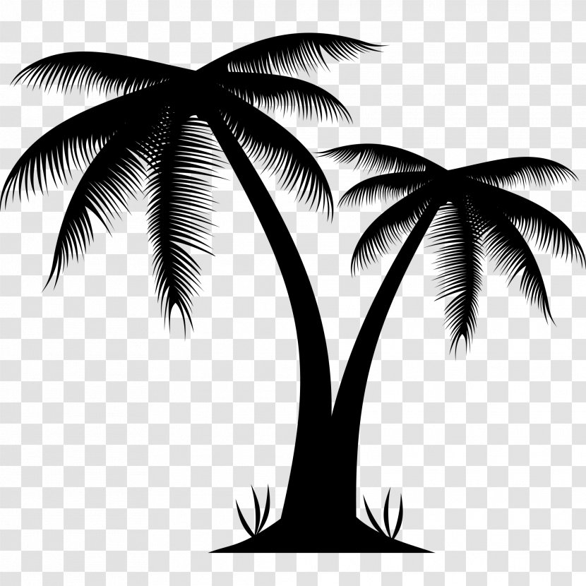 Arecaceae Tree Clip Art - Cdr - Palm Beach Transparent PNG