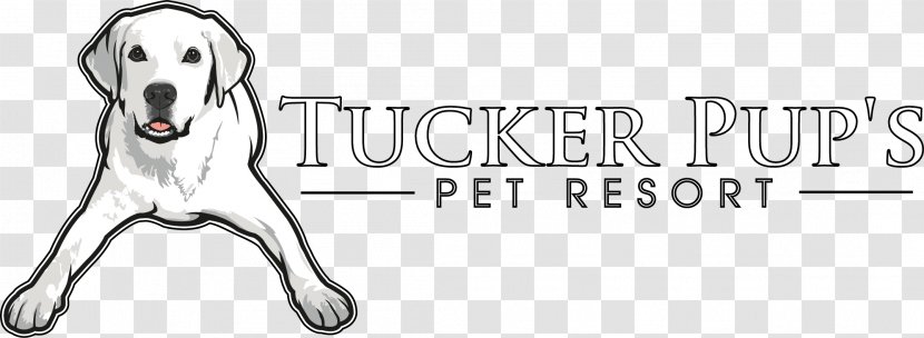 Dog Breed Daycare Grooming Tucker Pup's Pet Resort - Job Hunting Transparent PNG