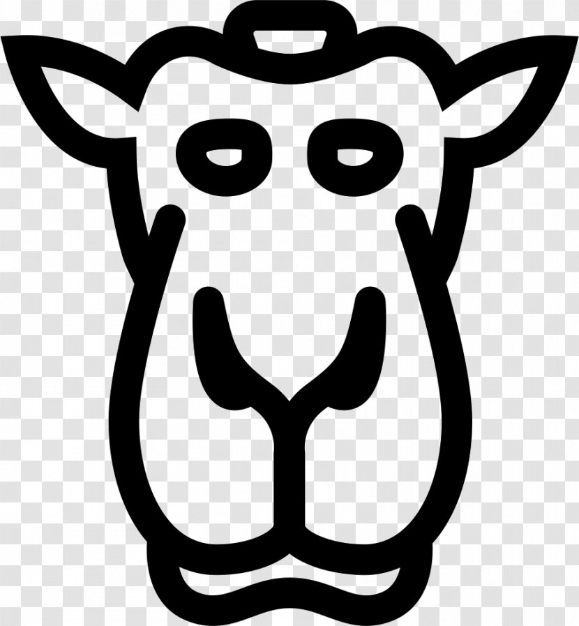 Camel - Snout - Line Art Transparent PNG