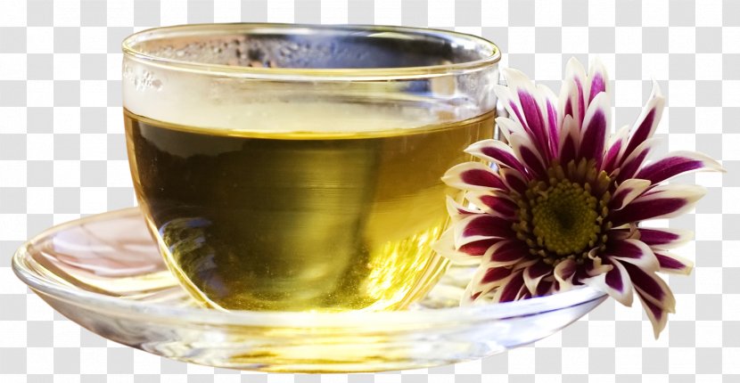 Teapot Coffee Teacup Green Tea - Cup Transparent PNG
