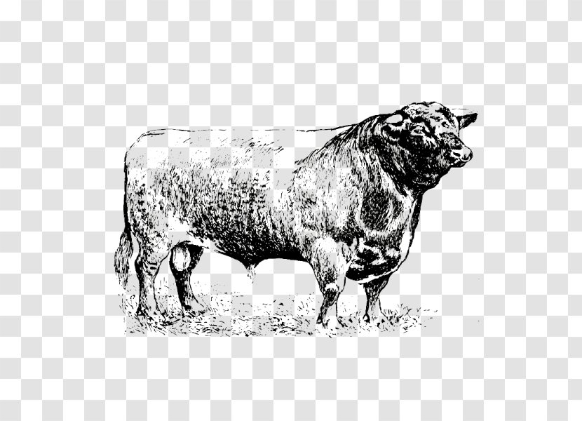 Sheep Cattle Ox Bull Horn Transparent PNG