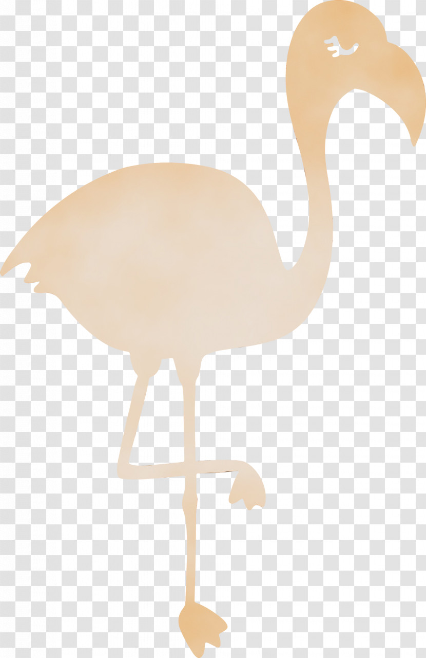 Common Ostrich Birds Crane Beak Water Bird Transparent PNG