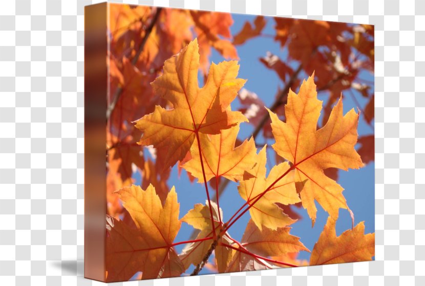 Zazzle Greeting & Note Cards Post Paper Wedding Invitation - Autumn Sky Transparent PNG