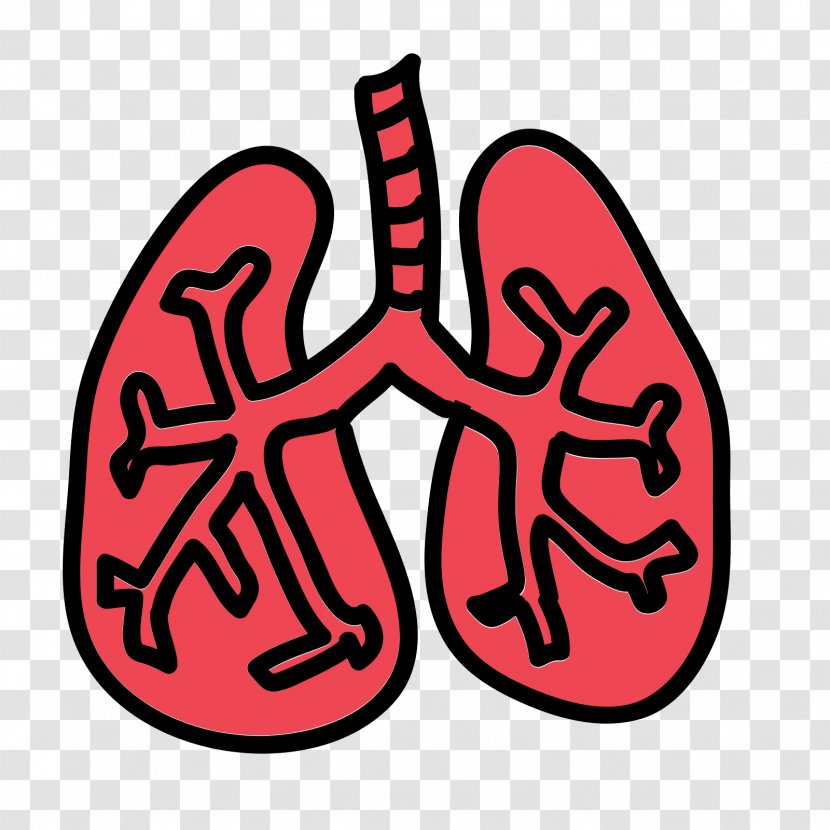 Lung Cancer Smoking Pneumonia Internal Medicine - Cartoon - Lungs Icon Transparent PNG