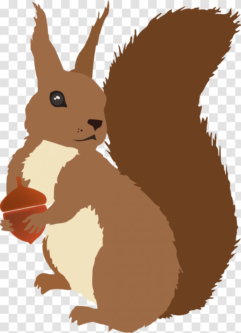 Domestic Rabbit Hare Squirrel Rodent Illustration - Fauna Transparent PNG