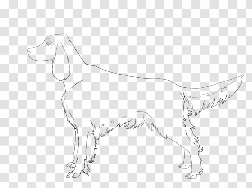 Dog Breed Sporting Group White Sketch Transparent PNG