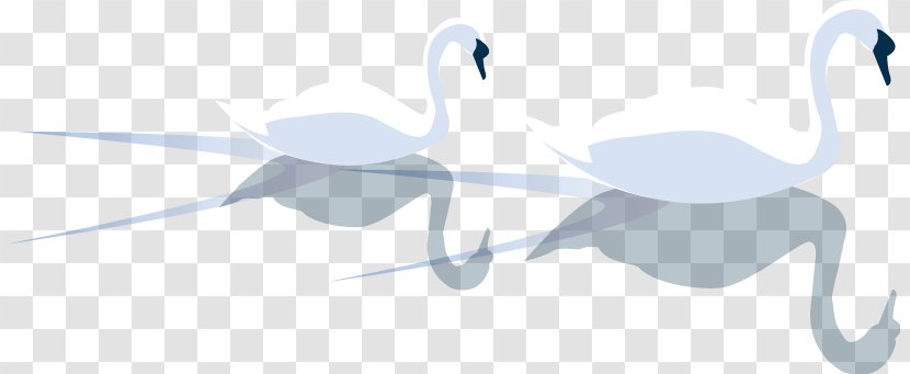 Water Bird Duck Logo - Ducks Geese And Swans - Swan Transparent PNG