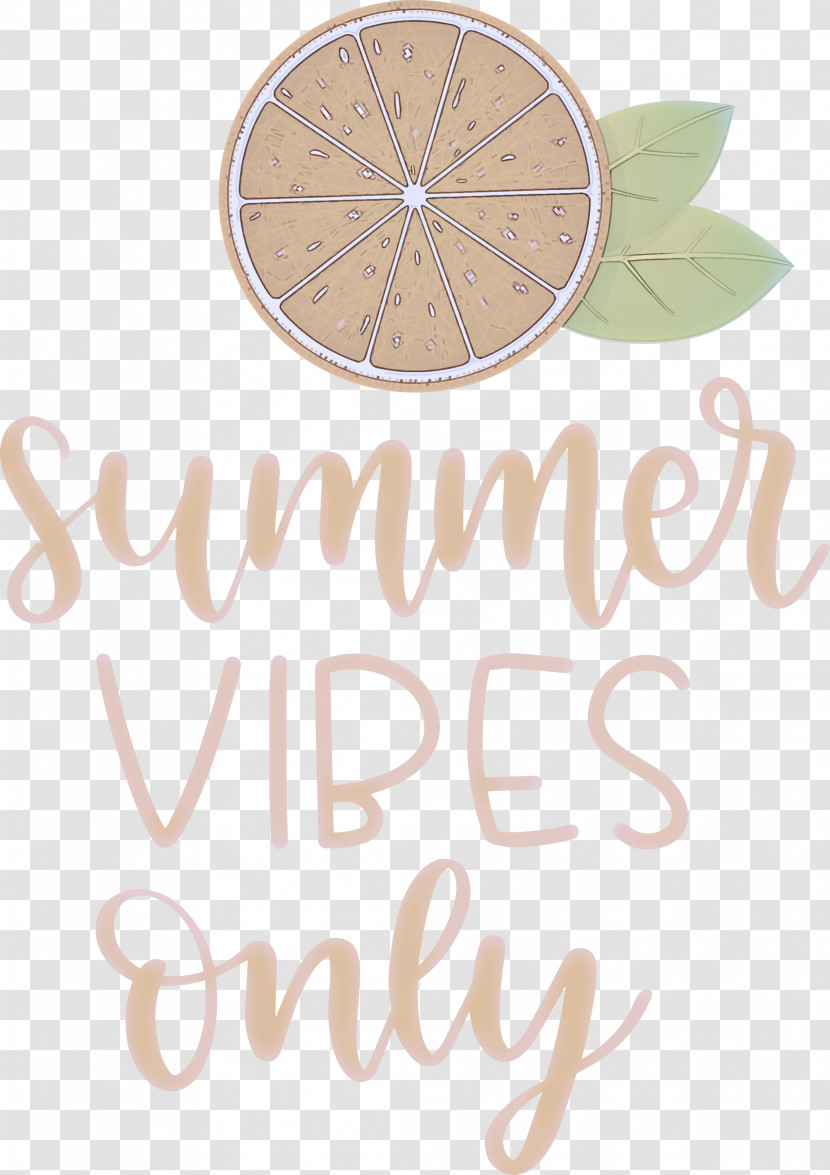 Summer Vibes Only Summer Transparent PNG