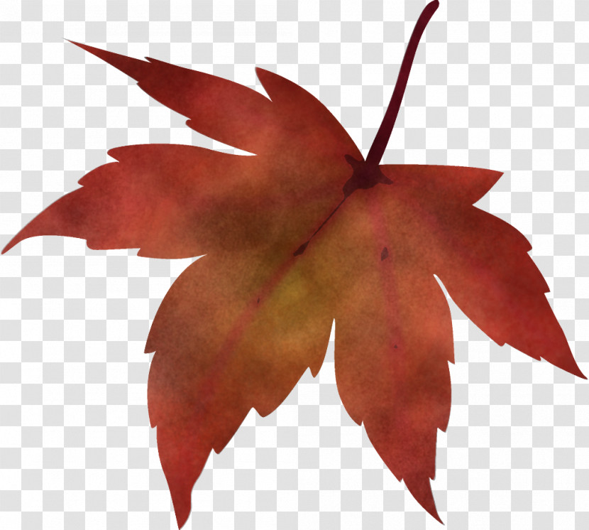 Maple Leaf Fallen Leaf Dead Leaf Transparent PNG