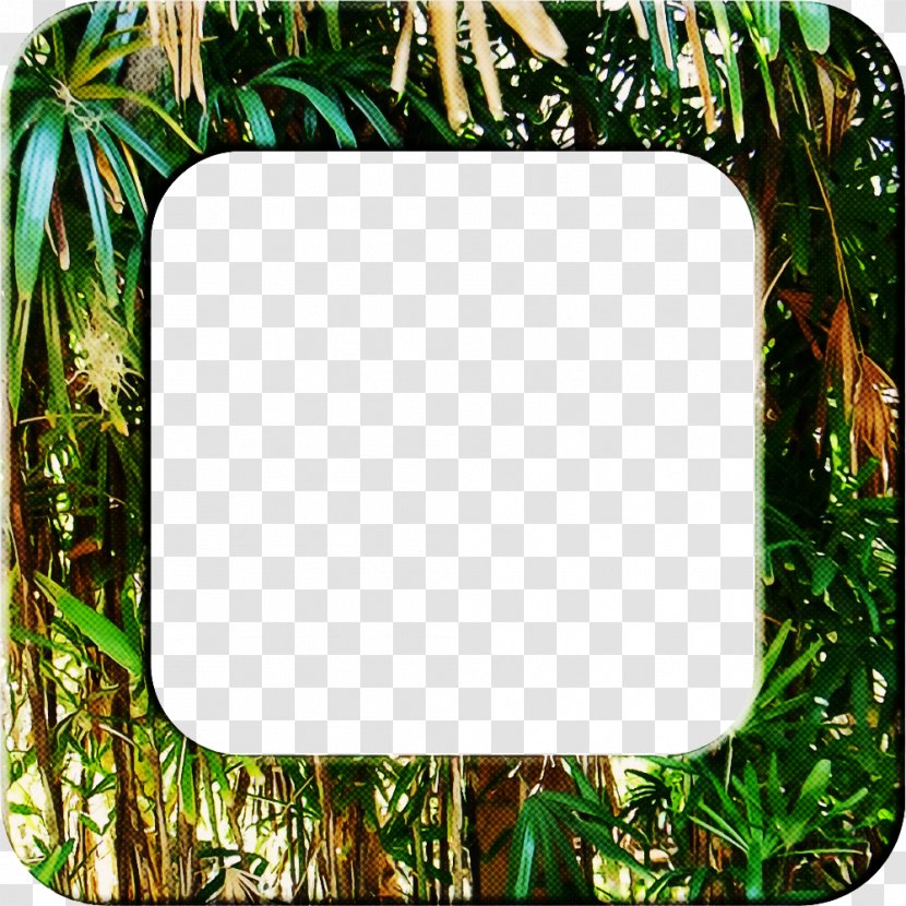 Background Green Frame - Tropical Vegetation - Plant Grass Transparent PNG