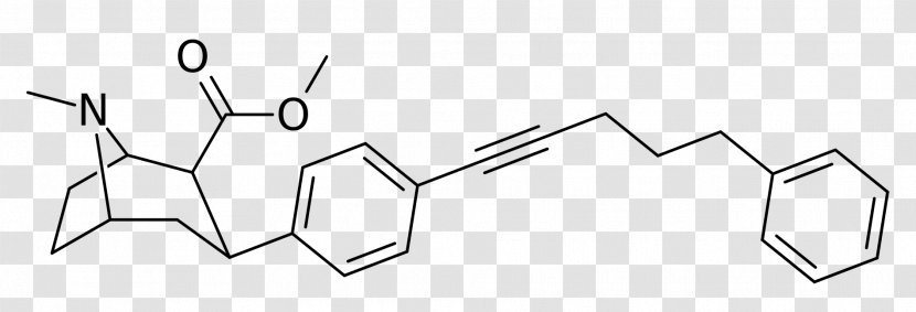 Phenyltropane Dopamine Transporter Norepinephrine Serotonin - Silhouette - Carroll Transparent PNG