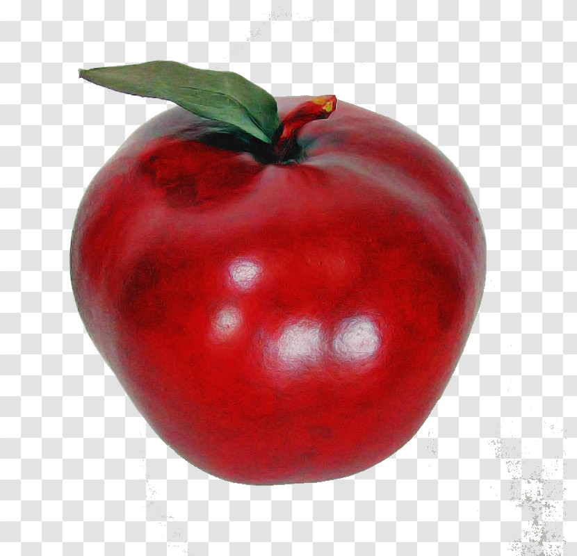 Tomato Transparent PNG