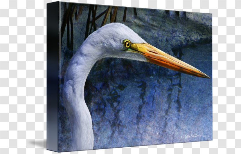 Egret Beak Stork Feather Animal - Poster Design Transparent PNG