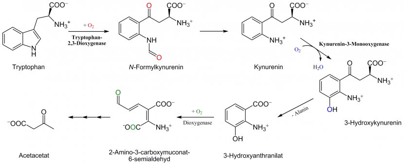 Nujol Molecule Chemistry Chemical Formula Substituent - Cartoon - Watercolor Transparent PNG