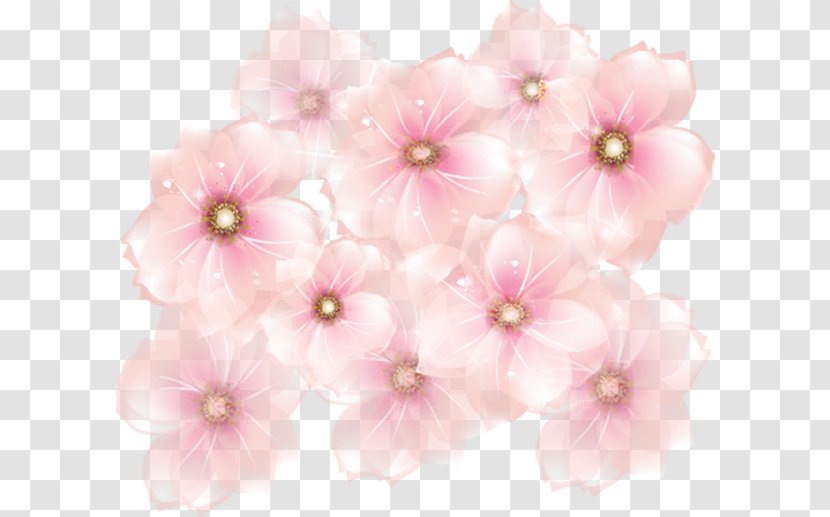 Pink Flowers Rose Clip Art - Blossom - Flower Transparent PNG