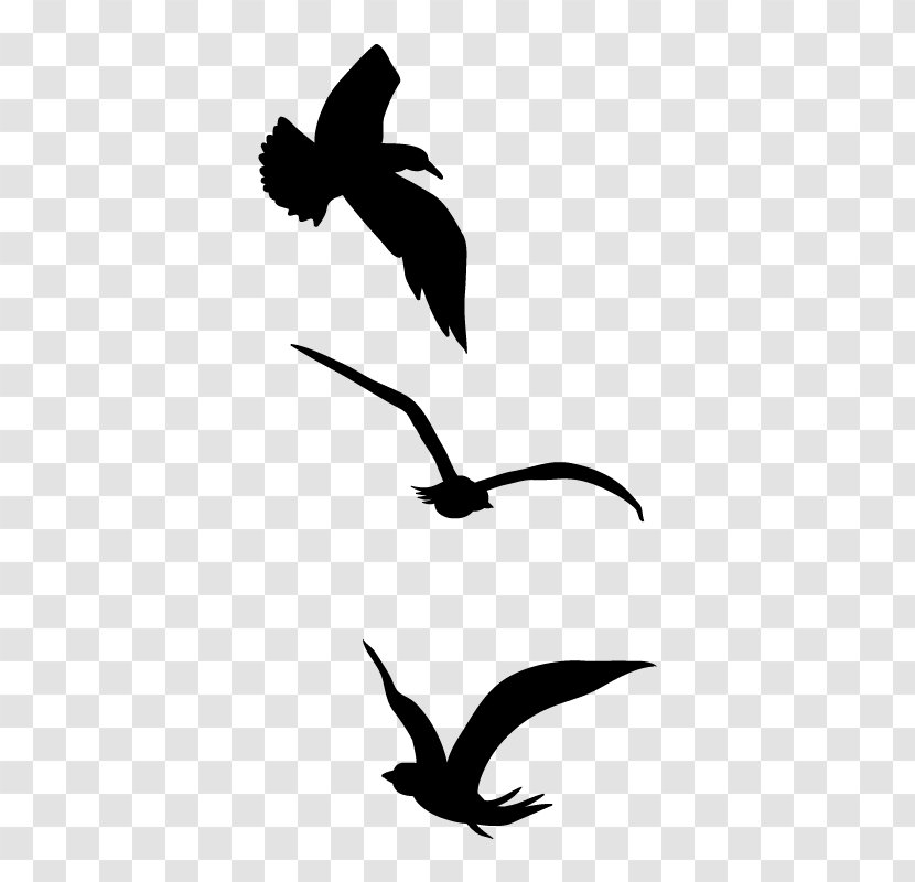 Eagle Feather Beak Silhouette Clip Art - Buzzard Transparent PNG
