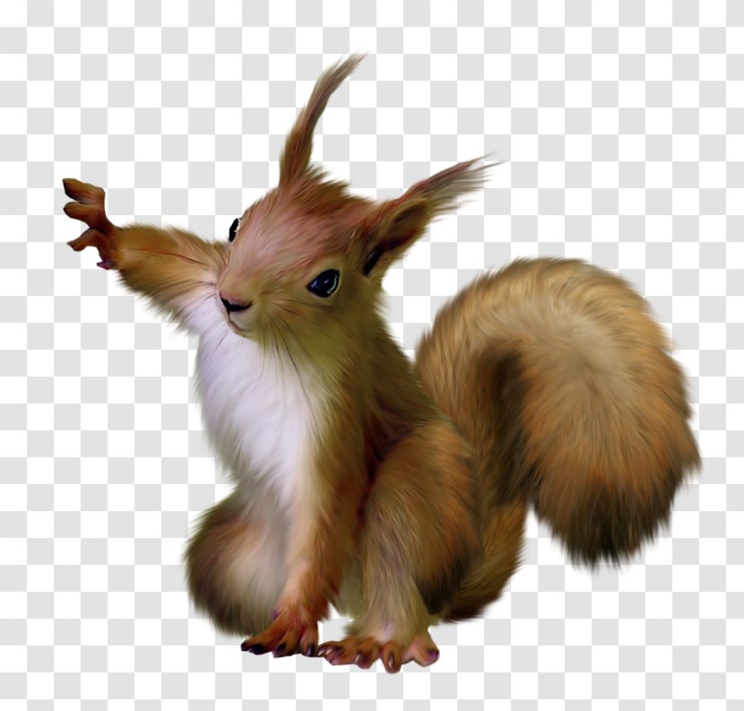 Squirrel Scrat Rodent Clip Art - Tail Transparent PNG