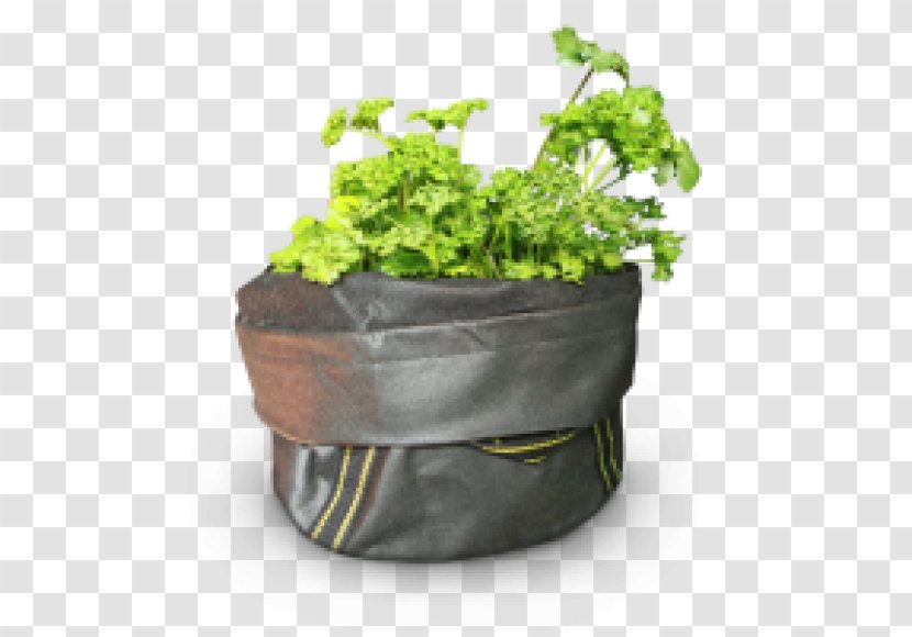 Flowerpot Herb - Leaf Vegetable - Growbag Transparent PNG