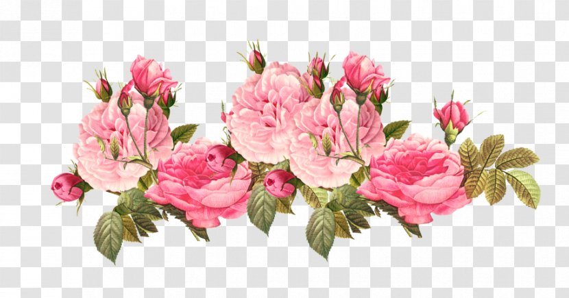 Pink Flowers Rose Clip Art - Cut - Flower Transparent PNG