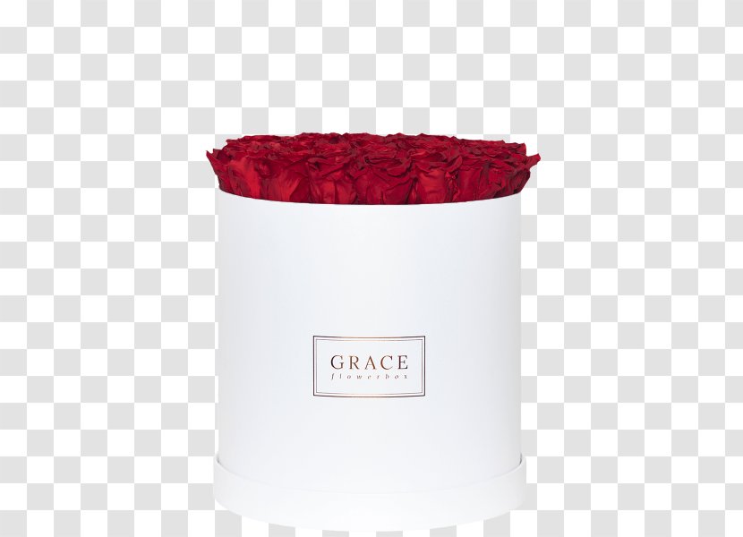 Flowerpot - Red - Golden Royal Transparent PNG