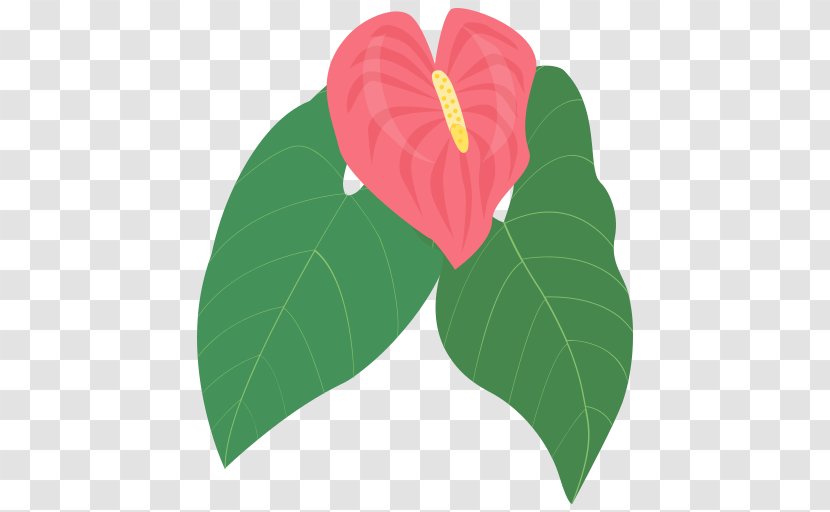 Apple Icon Image Format - Symbol - Anthuriums Transparent PNG