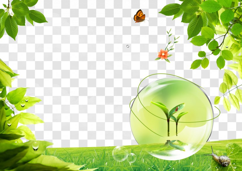 Poster - Brochure - Sunshine Background Transparent PNG